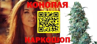 стафф Новозыбков