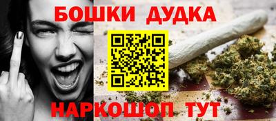 стафф Новозыбков